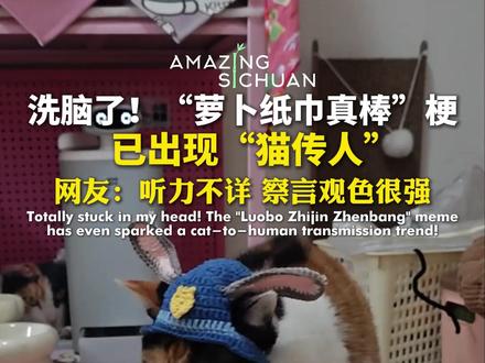 洗脑了!“萝卜纸巾真棒”梗已出现“猫传人”! Totally stuck in my head! The "Luobo Zhijin Zhenbang" meme has even sparked a cat-to-human transmission trend!#猫咪 #动物的迷惑行为 #萝卜纸巾真棒 #抽象 #外国人反应