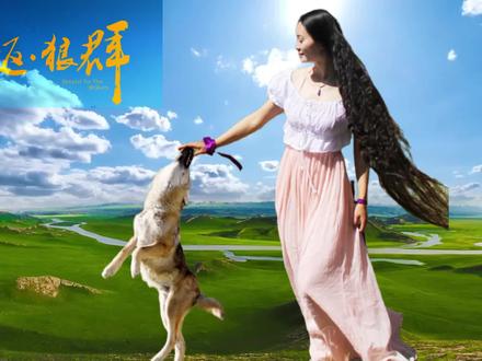 格林初回草原#格林 #重返狼群