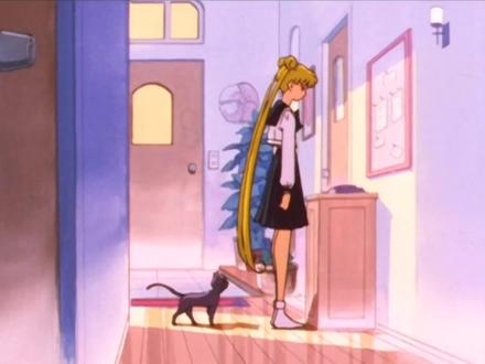 揭露的真相 星野等人的过去(上)#美少女战士