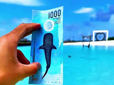 带你认识各国家货币 #货币 #汇率 #国家 #科普