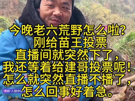 #七星山杯荒野求生 今晚老六荒野怎么啦?给苗王投票直播间就突然下了。#荒野求生#张家界七星山荒野求生赛