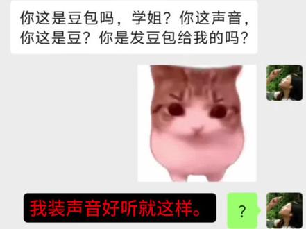 学姐你是豆包吗。? #聊天记录分享 #宁波大学 #声音 #录取 #新生