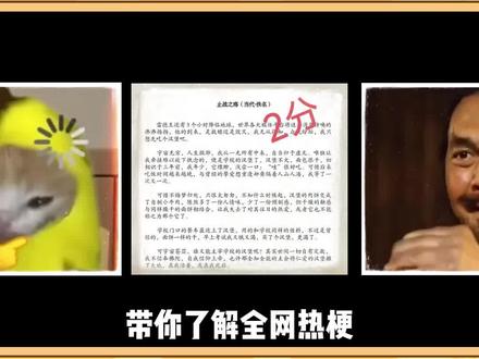 “止战之殇”是什么梗?#止战之殇 #高考作文 #雷德王 #银河战区 #赤兔之死