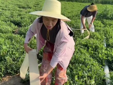 种地不易,改行卖艺……#抗旱浇地