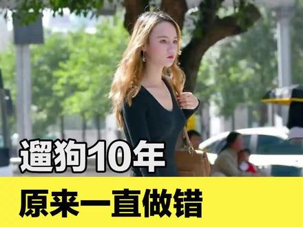 遛狗散步,狗在人前和人后,有什么区别?#遛狗 #科学养宠攻略