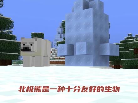 我的世界:关于北极熊的冷知识,带你了解不一样的北极熊 #我的世界 #沙盒