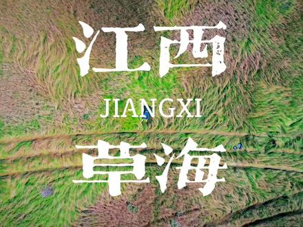 我真没想到南方也有这么大的草原#旅行vlog #鄱阳湖大草原 #鄱阳湖 #江西风景独好