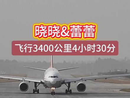 旅日大熊猫晓晓和蕾蕾平安抵达成都天府国际机场!从此日本再无大熊猫,欢迎日本朋友来成都看大熊猫#大熊猫#熊猫回国#成都 #熊猫基地看熊猫 #成都天府国际机场