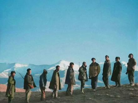 生命树太火了,强烈推荐。车的安全跟巡山队一样,总是默默的守护着我们。#生命树杨紫追车高燃片段 #生命树