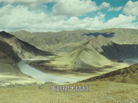 生命树大结局:多杰至死不知,林培生早已黑化,成为李永强的幕后 #生命树 #胡歌 #杨紫 #生命树我将反复看 #多杰