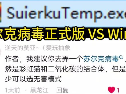 劲爆BGM的电脑病毒苏尔克正式版,一旦运行会修改引导和桌面! 回复 @逆天的莫亚~(爱玩抽象的评论 你们要的苏尔克病毒正式版来啦!Windows11x64 25H2 专业工作站版 MBR GPT #电脑 #病毒 #苏尔克 #二氧化碳 #系统 这个是二氧化碳和彩虹猫的结合体。