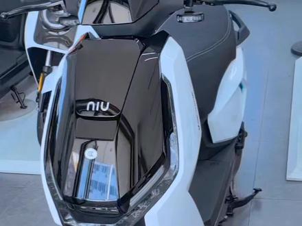 现货来了#小牛电动 #真赛道很小牛 #小牛FS