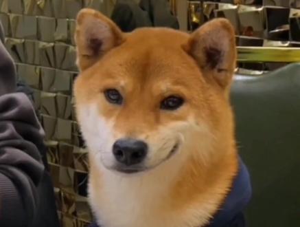 等价无穷小公式之狗头版+滑稽版🐶🤨#高等数学