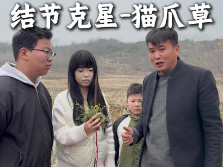 一个农村不起眼的小植物,竟然有如此大的作用?你还知道有哪些诸如此类,小植物大功效的植物,可以一起分享哦!#新农人 #中医 #知识分享 #小意在乡村 #乡村生活 @抖音小助手 @DOU+小助手