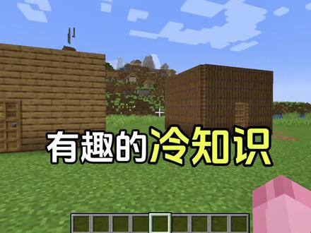有趣的冷知识#我的世界 #我的世界中国版 #我的世界试炼传说
