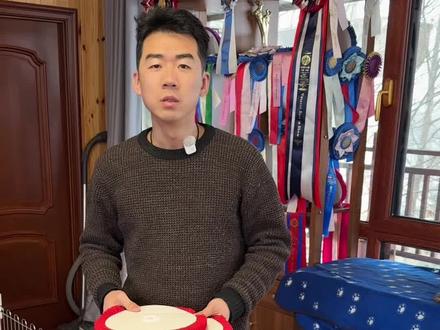 犬展比赛是无序繁殖的对立面 #向文龙的边牧知识科普 #边牧 #边境牧羊犬 #边牧朵朵和无双 #赛级边牧