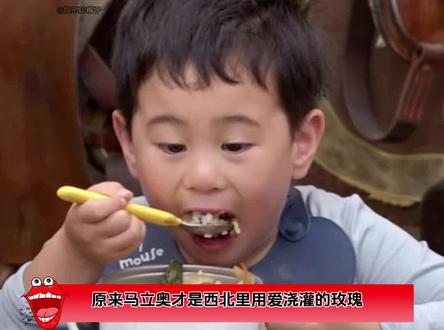 马立奥才是西北里唯一的玫瑰,还是被亲人用爱浇灌出来的西北玫瑰~#马立奥 #马君妍 #马杨 #娱乐评论大赏 #萌娃