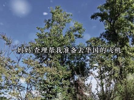 没有对比就没有伤害哈哈哈#广播剧 #甜宠