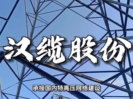 汉缆股份|2026年02月14日基本面解析