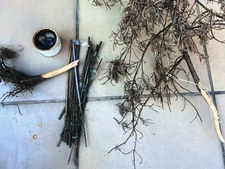 捡了棵枯树徒手掰了一下午
打造了个“鸟儿自在阁”
巢暖蛋圆、雀跃枝间、林里安居处,
满是鸟儿自在乐~#手工鸟窝制作 #废物利用