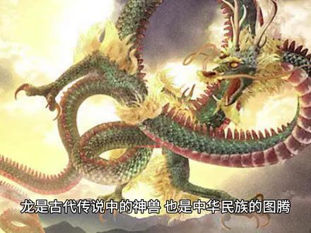 古代神秘的豢龙氏,为君王养龙,究竟养的什么?其实是一种常见动物 #龙 #龙的传人 #豢龙氏 #御龙 #孔甲