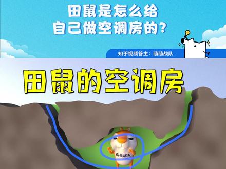 高温天气,田鼠的一个操作居然能给自己做个带通风的「空调房」。这个「空调房」的工作原理是什么?答主:萌萌战队 通过动画来揭秘。#有趣冷知识