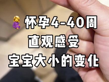 直观感受怀孕4-40周宝宝大小的变化,每个孕妈妈都很不容易!#孕期记录 #胎儿生长 #怀孕不容易 #怀孕那些事 #记录怀孕过程