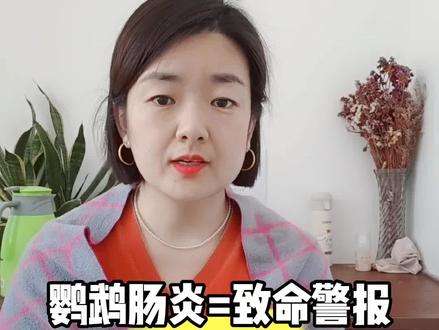 鹦鹉肠炎=致命警报,3个信号+急救方法新手必看#鹦鹉 #鹦鹉鹦鹉萌萌哒逗鹦鹉 #鹦鹉日常 #鹦鹉饲养知识 #新手养鹦鹉