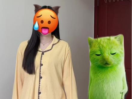 太好玩了 快和小绿猫一起跳~#一学就会系列 #简单易学舞蹈#grr手势舞#小鸡舞挑战 #飞船丢了