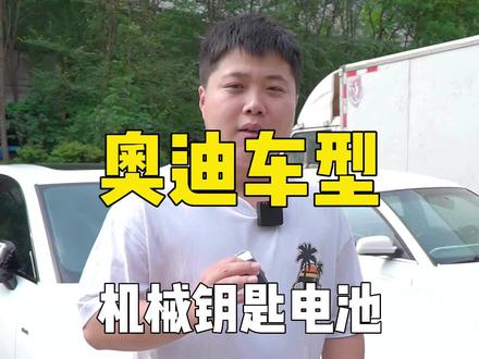 奥迪车型机械钥匙电池#奥迪 #a4l #a6l #汽车用品
