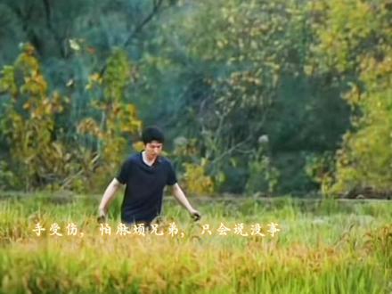 在十个勤天,学会依赖哥哥才是长大#十个勤天 #赵小童
