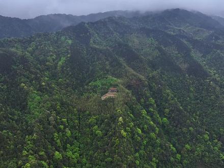 四川77岁老人独居山野,种粮种菜自给自足,居住环境犹如世外桃源