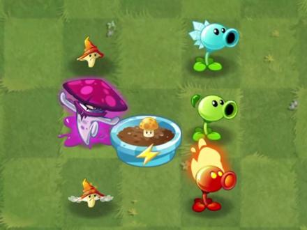 阳光菇对不同植物战力提升如何? #植物大战僵尸2