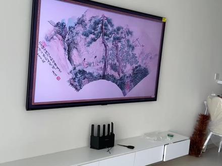 壁纸电视,待机状态下真的很壁纸。#在家看电视
