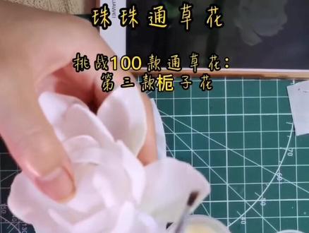 师父们的手艺,徒弟们来传承!@扬州四八六(非遗文化) 相信会有更多人喜欢的!保姆式教程来了#通草花