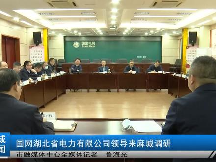 国网湖北省电力有限公司领导来麻城调研#麻城新闻#@抖音小助手