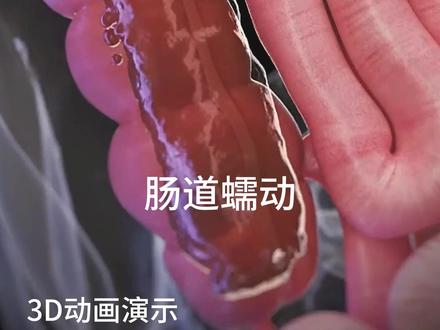 食物的另一种形态 #人体奥秘 #消化系统 #涨知识