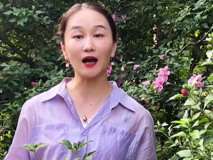 #木槿花开 《诗经》里面走出来,可以吃的花~#一花一草一世界 #中药材 #知识分享 #农村@DOU+小助手 @抖音小助手 @抖音青少年