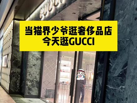 当猫界少爷逛GUCCI#神奇动物在抖音 #vlog日常 #猫咪 #抖音上热门小助手 #梅西的猫 @阿夫Ashraf @梅西之家