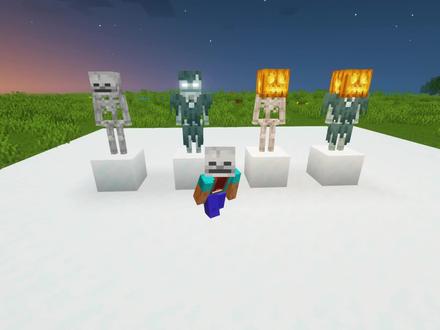 我的世界:骷髅也能直接变成流浪者,你们知道吗?