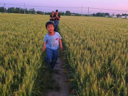 道家有个说法,叫"稚子一声闹,胜过十年修"
你嫌他磨蹭、哭闹、添乱,
那不是业障,是你命里该渡的关。
你扛不住的脾气,他根本进不了你的家门。
但凡来了,就是你炉里炼得起的丹。
他磨你急躁,是替你通经活络。他惹你发火,是照见你心底那根刺。你对他吼完,他转头就笑——那是他在教你,什么叫无条件的还债。
别去庙里磕头,
你生命里最大的神仙,就坐你家里。
你忍住一句伤人的话,就是烧了一柱最诚的香。你给他一个温和的脸色,就是破了自己最难破的执。
所谓养育,从不是单向付出。
是他用整个纯粹的童年,陪你慢慢破局。
你以为你在渡他,
其实——是他在渡你。