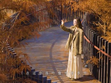 落羽杉是深秋的浪漫 #秋天氛围感 #秋天拍照