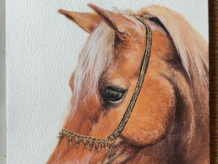 马怎么画?一学就会水彩绘画教程! #跟着抖音学画画 #画画 #一学就会系列 #抖音年味艺术图鉴 #绘画教程 !准备好水彩、彩铅…,拿笔新年第一画!马年画马!愿我们新的一年,所有愿望马上实现!