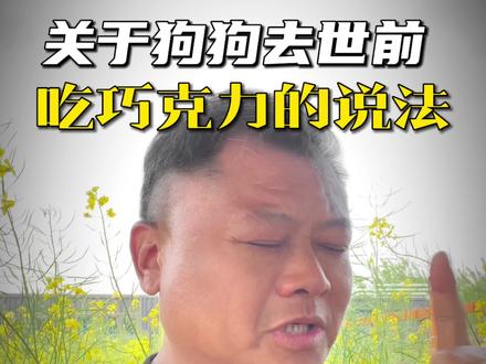 一个关于狗狗去世前吃巧克力的话题,让我自己泪奔了!其实就是最后那几句话#狗狗#狗是人类最忠诚的朋友 #新手养狗 #狗狗故事#法斗