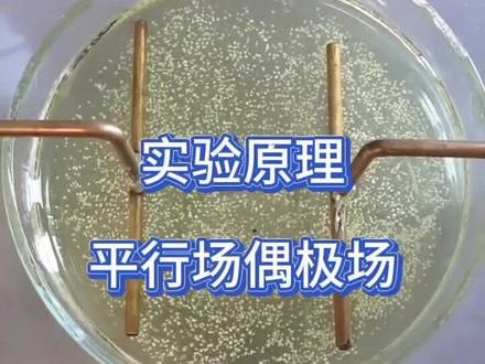 可见电场:平行场偶极场#物理实验