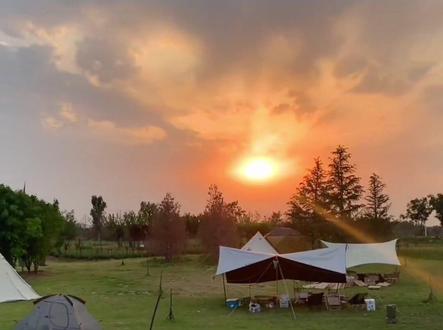 捉🐟摸🦐,免费烧烤露营,这份唐河百里画廊加桃花的线路送给你#自驾游 #旅行推荐官 #旅行攻略