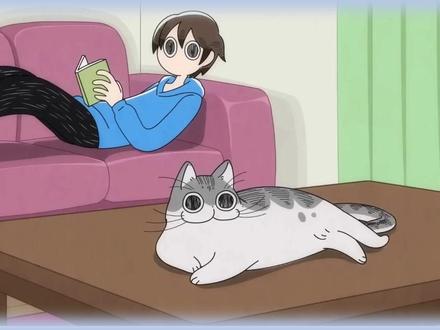 猫咪听到了,为什么叫不过来,第4种就是你的猫!#猫咪的日常 #猫咪的迷惑行为 #养猫新手 #动漫猫咪