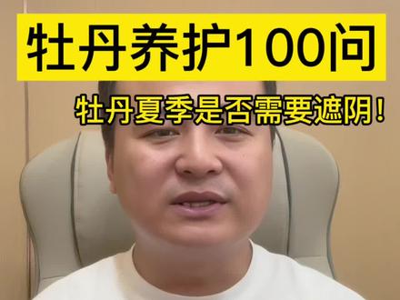 牡丹夏季遮不遮阴?#牡丹养护 #牡丹种植 #牡丹遮阴