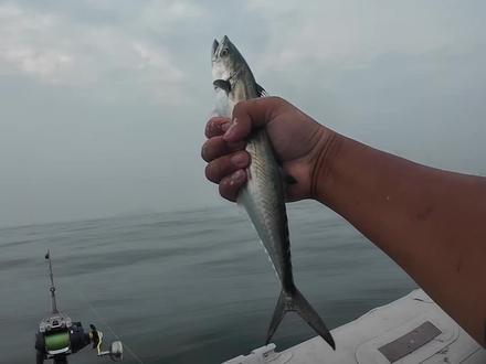 关于一拖二拖钓。zz