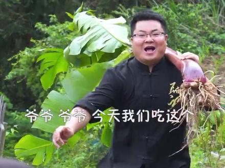 湖南农村的芭蕉头,你们吃过吗?拔丝的那种,爷爷的最爱#农村的美食 #特色美食